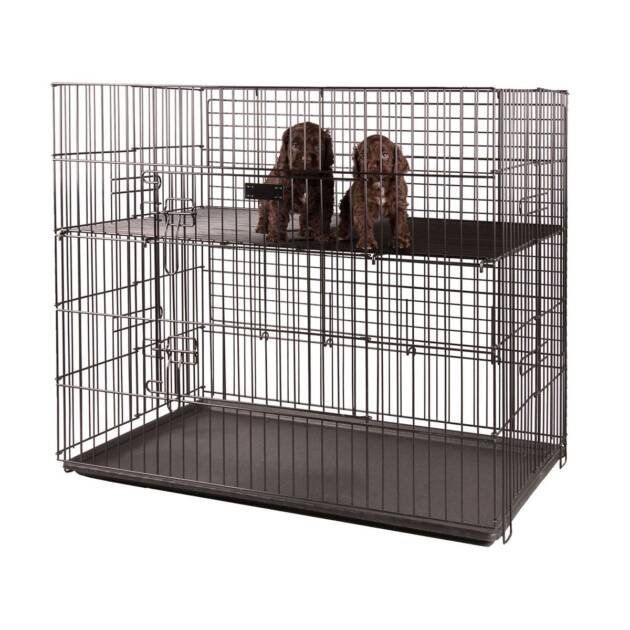 Cage d'exposition