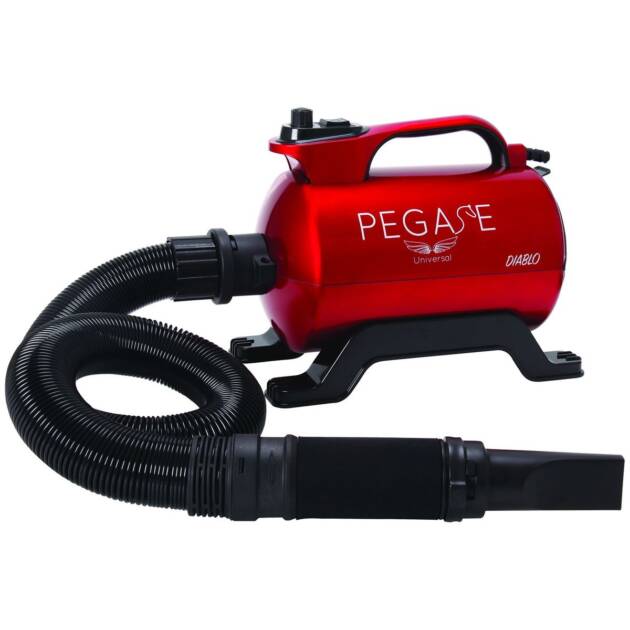 Pegase - pulseur/séchoir - Diablo