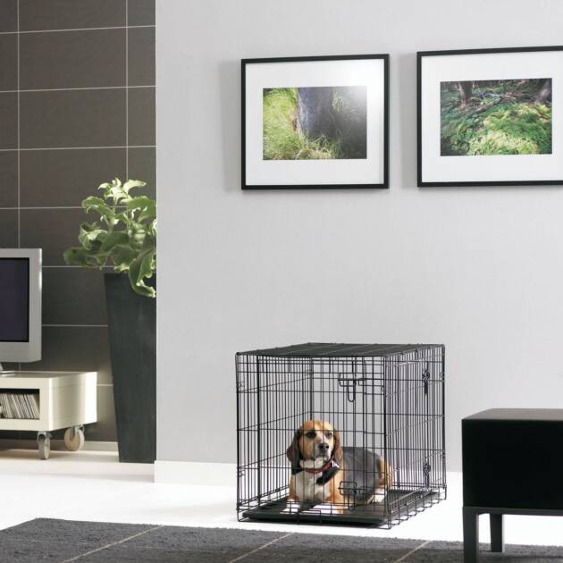 Dog Cottage