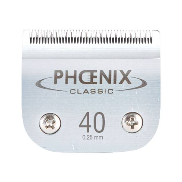 Phoenix - Tête de coupe N° 40