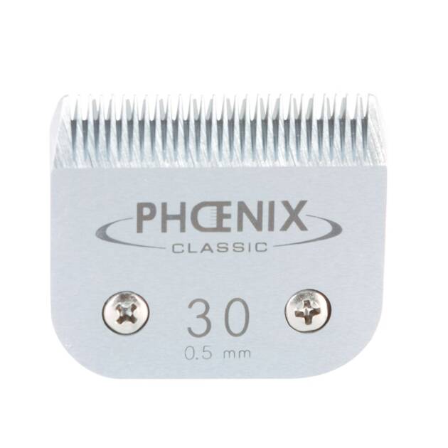 Phoenix - Tête de coupe N° 30