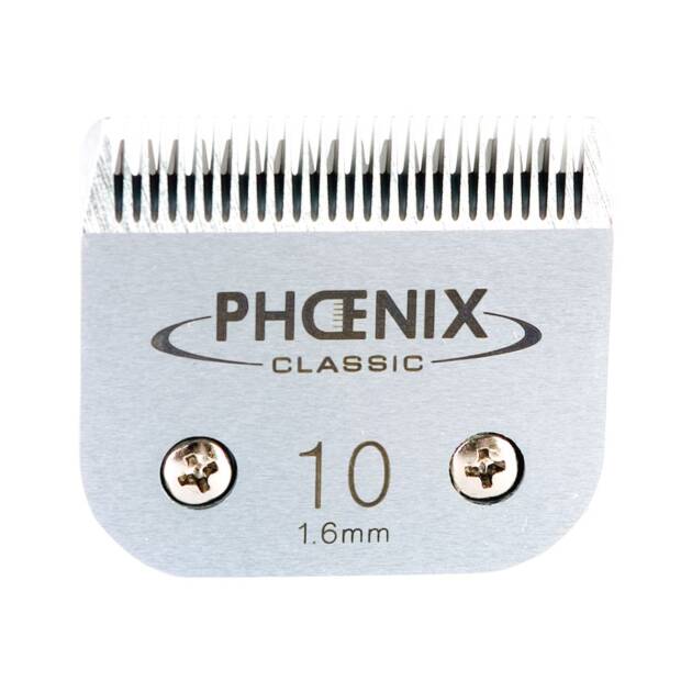 Phoenix - Tête de coupe N° 10