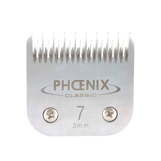 Phoenix - Tête de coupe N° 7