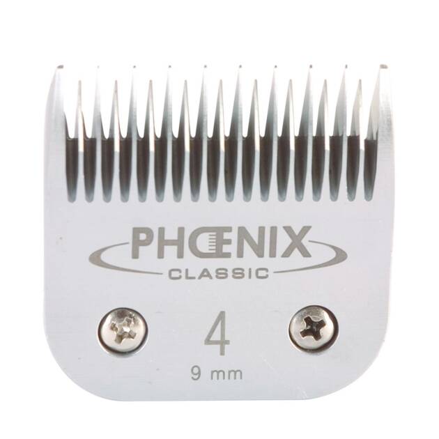 Phoenix - Tête de coupe N° 4
