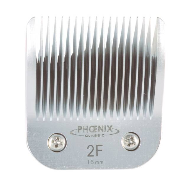 Phoenix - Tête de coupe N° 2F