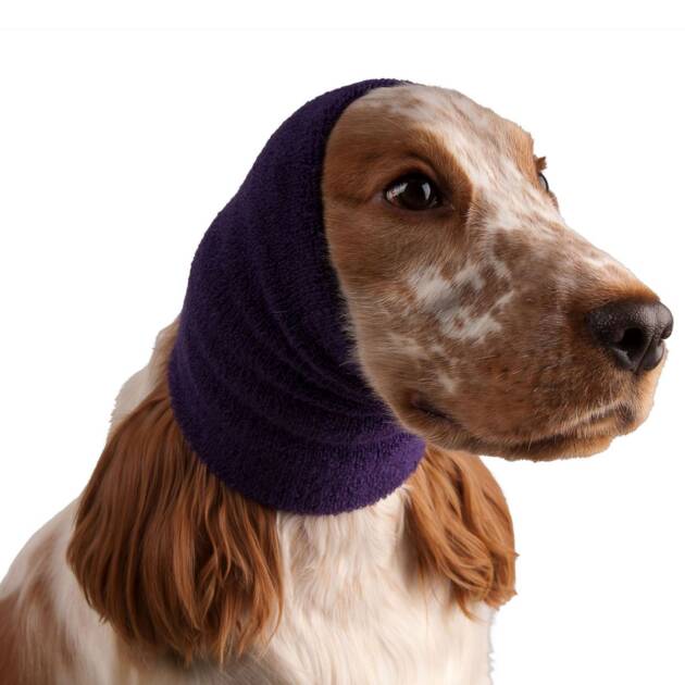 ShowTech - Ear Buddy