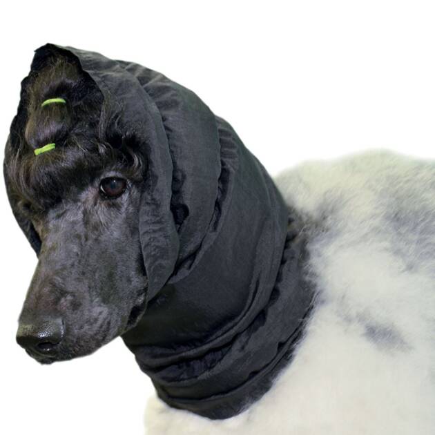 Snood noir
