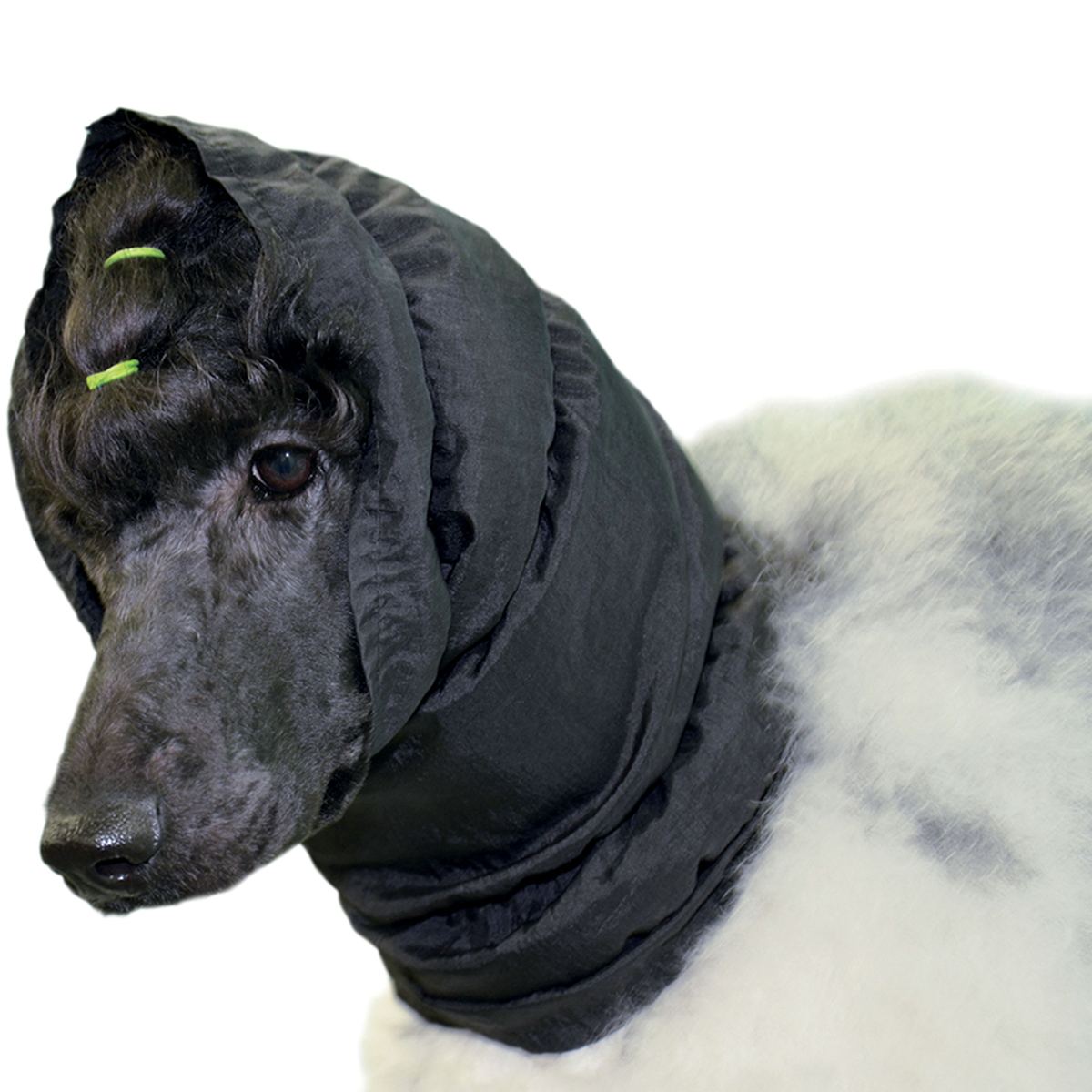 Snood noir