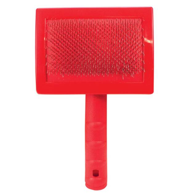 Franck Universal - Carde - Picots durs - 11,2x8,4 cm