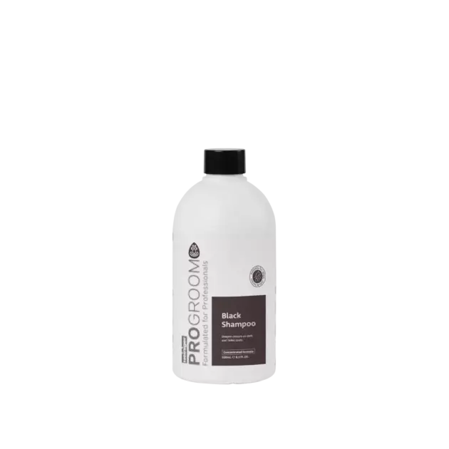 Black Shampoo 500ml