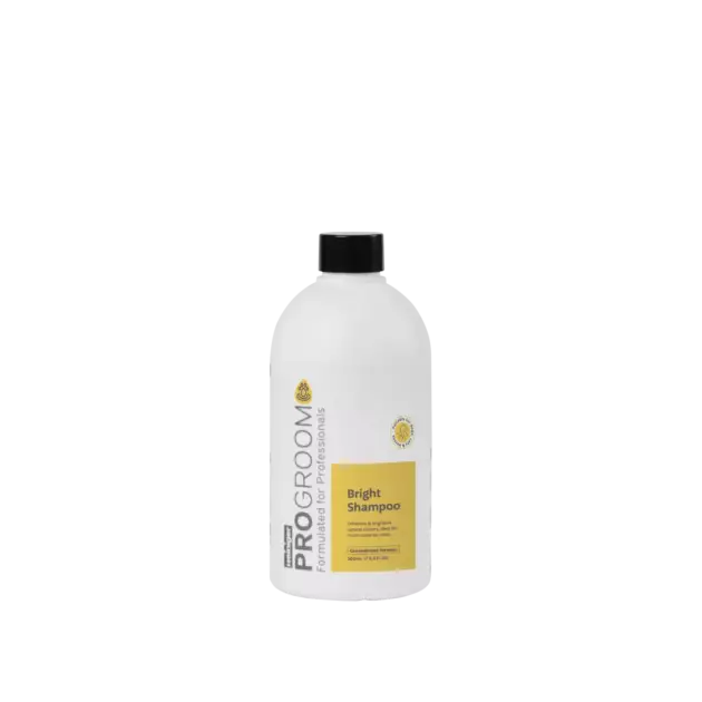 Bright Shampoo 500ml