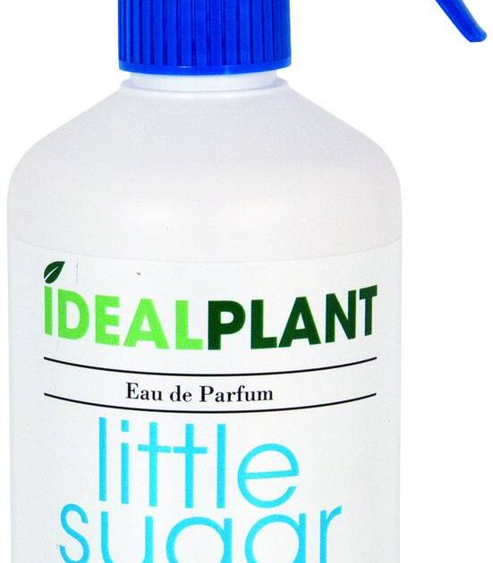 IDéalPlant - Parfum Little Sugar