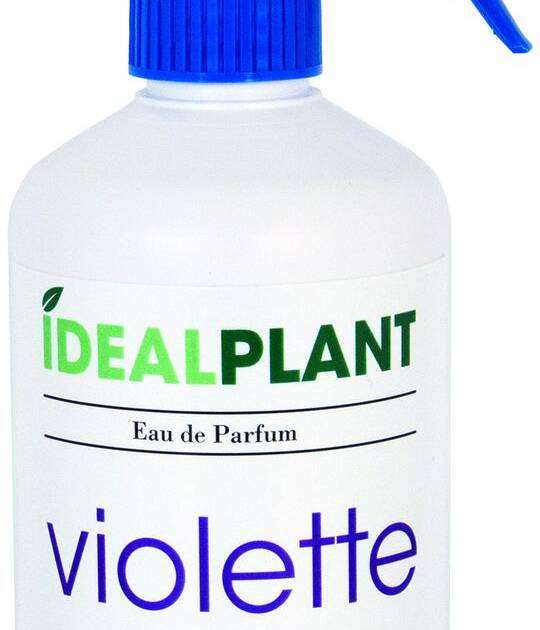 IDéalPlant - Parfum Violette