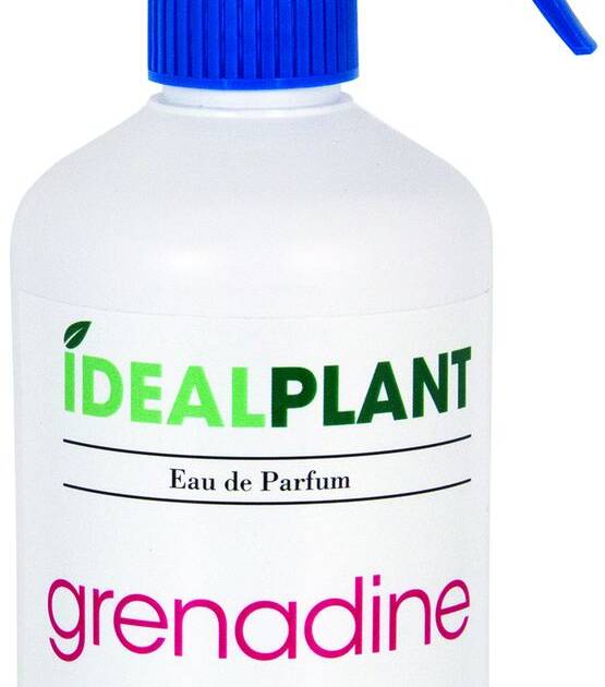IDéalPlant - Parfum Grenadine