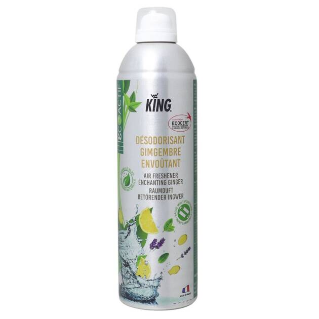 King - Destructeur d'odeurs - Gingembre