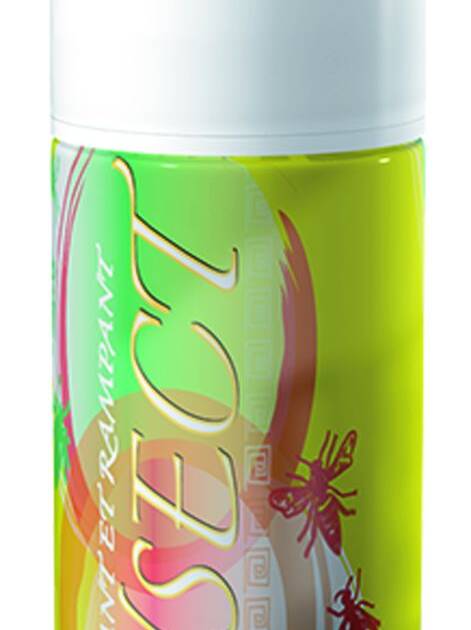 Aérosol Insecticide - 250 ml