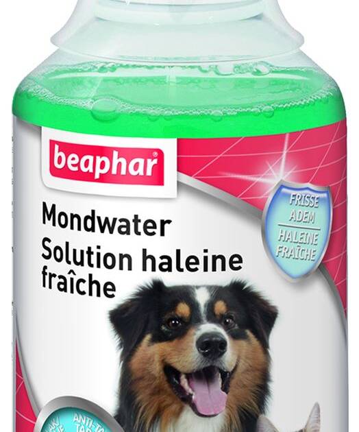 Béaphar - Solution Buccafresh - 250 ml