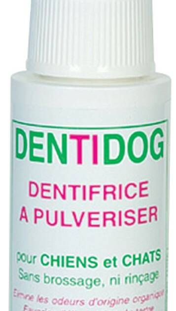 Dentidog - Dentifrice Spray - 50 ml