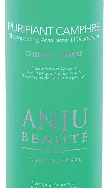 Anju - Shampoing Camphre - 250 ml