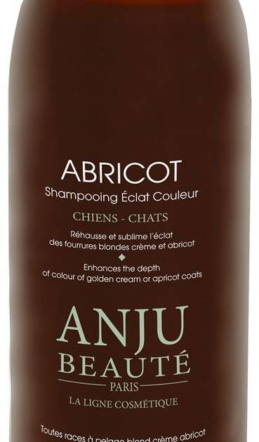 Anju - Shampoing Eclat abricot - 1l.