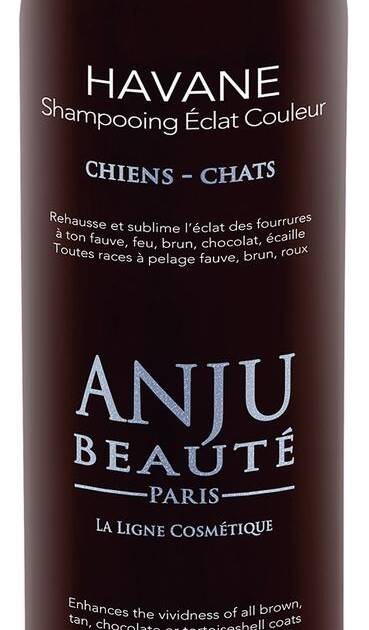 Anju - Shampoing Eclat Havane - 250 ml