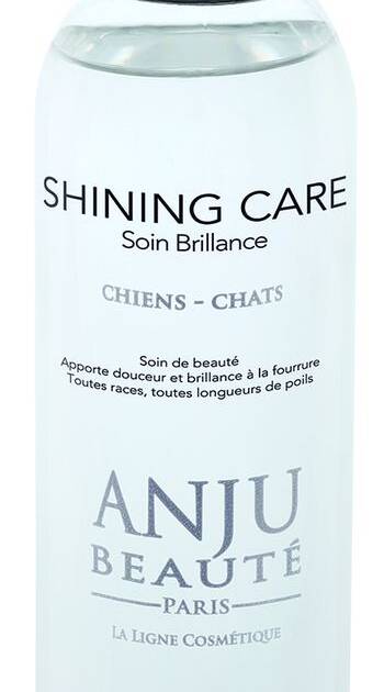 Anju - Spray Brillance Shining - 150 ml
