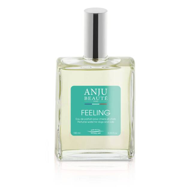 Anju - Parfum Feeling