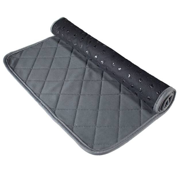 Doogy - Tapis éducateur