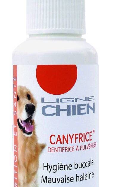 Canys - Canifrice