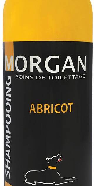 Morgan - Shampoing Abricot