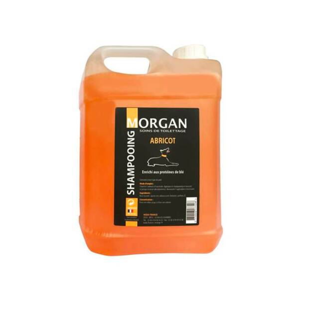 Morgan - Shampoing Abricot - 5l.