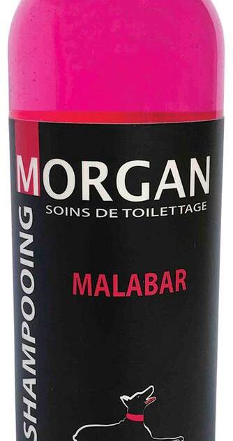 Morgan - Shampoing Malabar