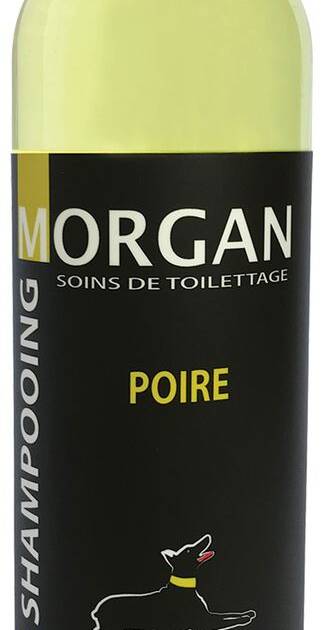 Morgan - Shampoing Poire