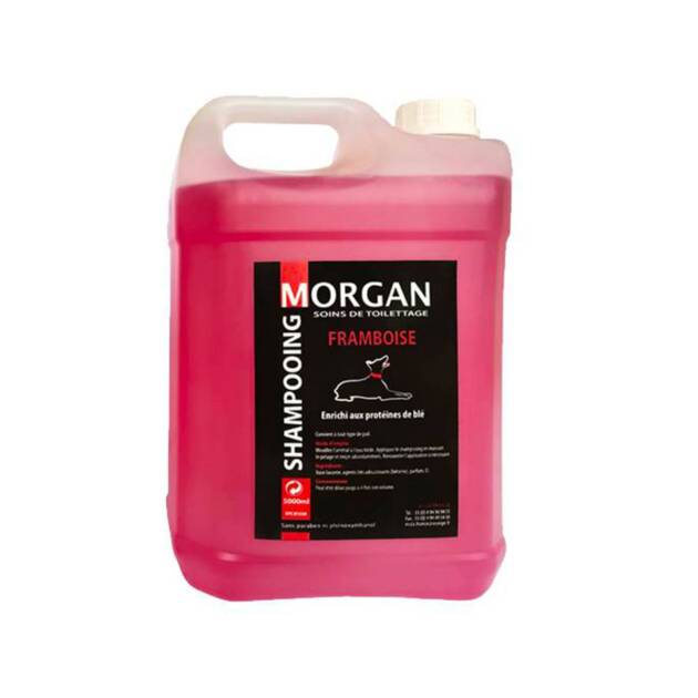 Morgan - Shampoing Framboise - 5l.
