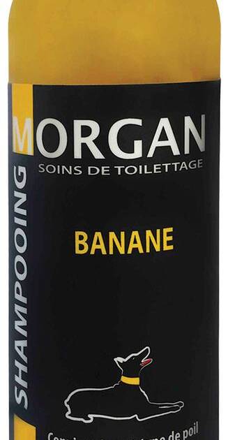 Morgan - Shampoing Banane