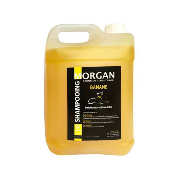 Morgan - Shampoing Banane - 5l.