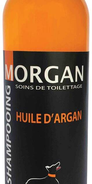 Morgan - Shampoing huile d'Argan