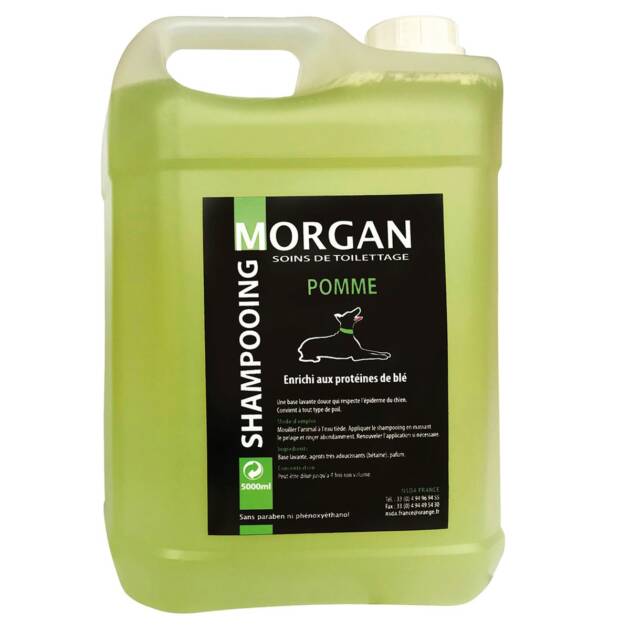 Morgan - Shampoing Pomme - 5l.