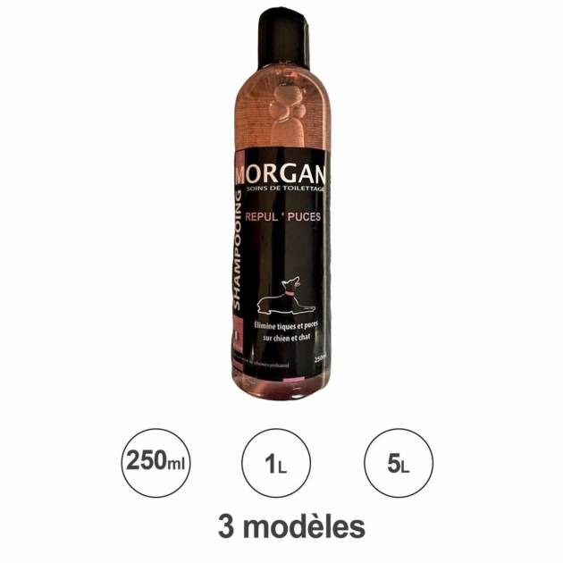 Morgan - Schmapoing Repul'Puce