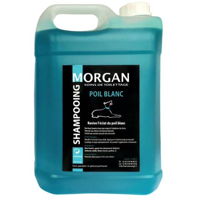 Morgan - Schmapoing Poil blanc - 5l.