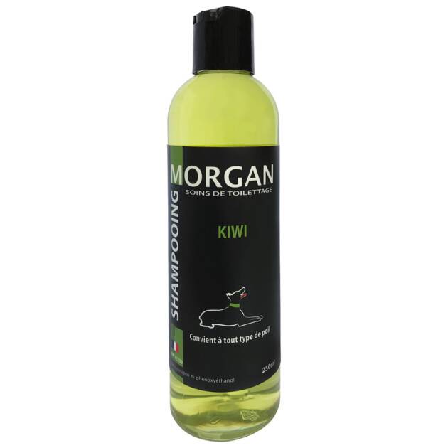 Morgan - Shampoing Kiwi