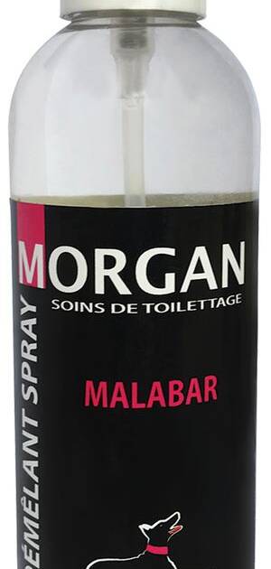 Morgan - Démêlant Spray - Malabar - 250 ml