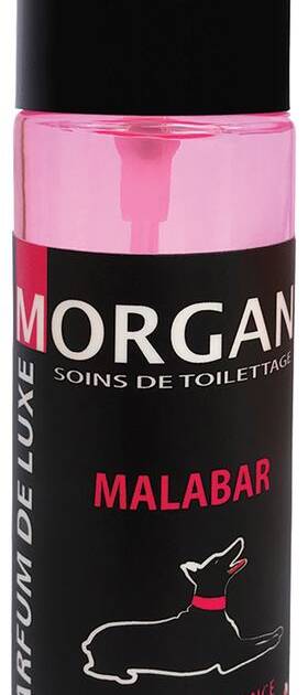 Morgan - Parfum Malabar