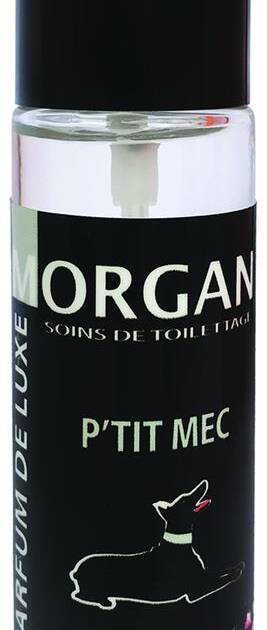 Morgan - Parfun P'tit Mec