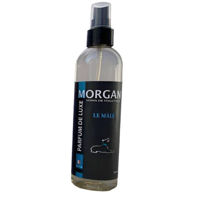 Morgan - Parfun Le Mâle