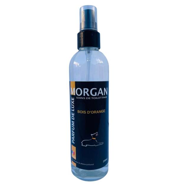 Morgan - Parfum fleur de figuier