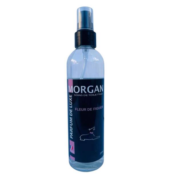 Morgan - Parfum bois d'orange