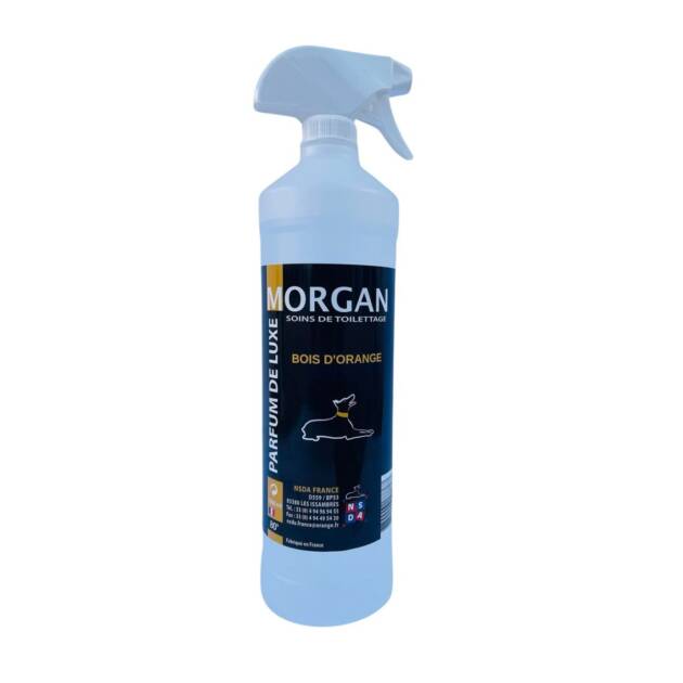 Morgan - Parfum fleur de figuier - 1l.