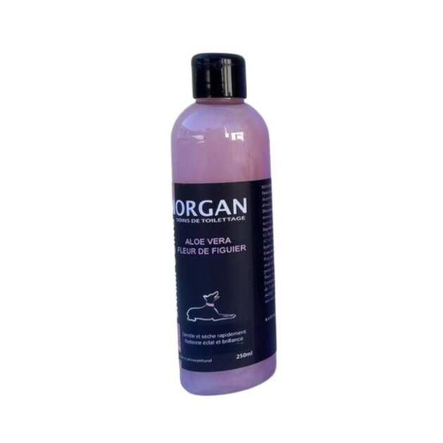 Morgan - Shamp. Aloe Vera & Bois d'orange - 250 ml
