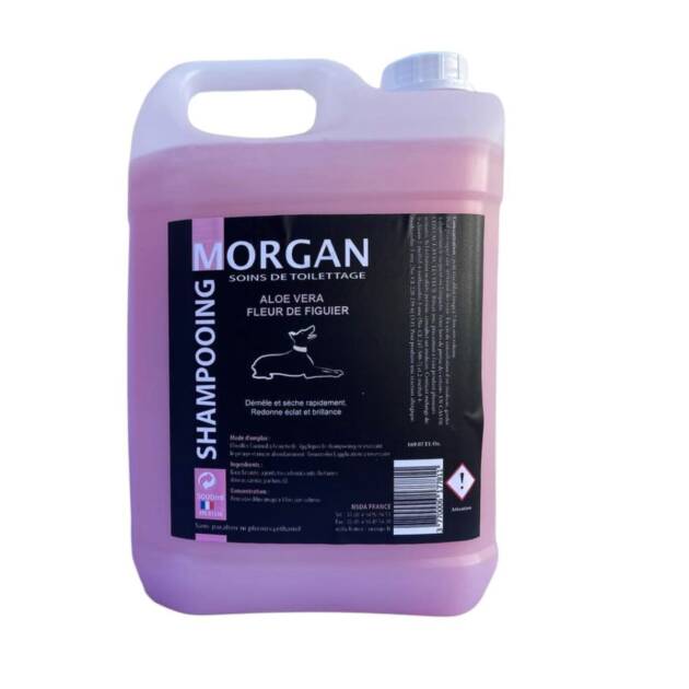 Morgan - Shamp. Aloe Vera & Bois d'orange - 5l.